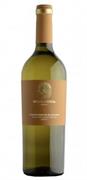 VERDICCHIO DI MATELICA DOC 2022 LA MONACESCA