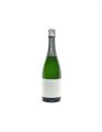 SPUMANTE BRUT 2022 TREMAT CHARMAT