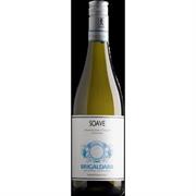 SOAVE TAPPO VITE 2023 BRIGALDARA