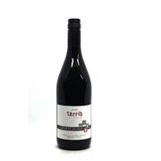 VINO ROSSO TERRA VIGNETI MASSA