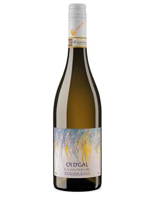 MOSCATO D'ASTI DOCG LUMINE 2024 CADGAL VINO&DESIGN