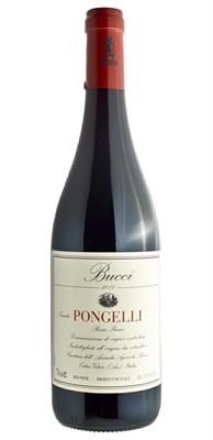 ROSSO PICENO DOC TENUTA PONGELLI 2020 BUCCI