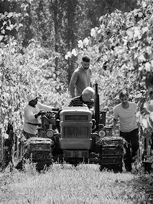 azienda-vinicola-campanelli_back